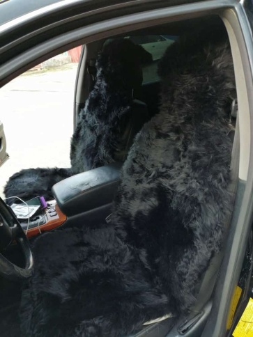 Накидка  на сиденье длинный ворс черный 137х50см 2шт    фото 1