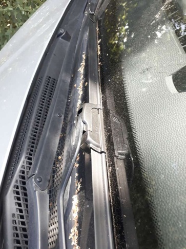 AVS  щетка стеклоочистителя Basic Line бескаркасная 580мм    фото 5