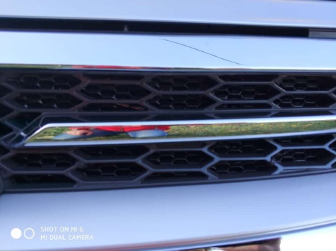 Dollex  защитная сетка на решетку радиатора ячейка 20ммх6мм 40х100см черная сота DKS-035 фото 3