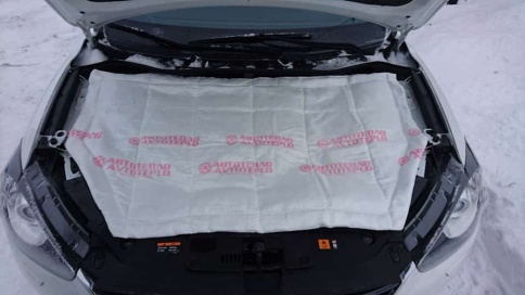 Автотепло  утеплитель автомобильный №4  142см х 80см фото 4