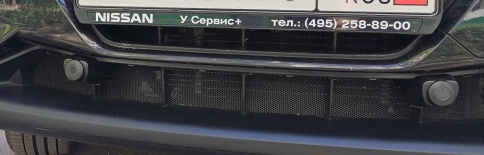 Dollex  защитная сетка на решетку радиатора ячейка серебристая 10ммх5,5мм 100х20см    фото 5