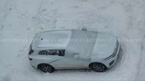 FENOX накидка защитная от наледи и солнца на лобовое стекло 240см х 145см    фото 2