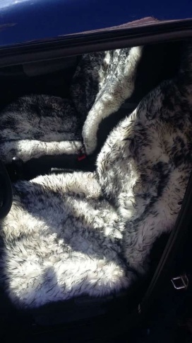 PSV Jolly Extra Накидки на сиденье длинный ворс бело-черный 140x50 комплект 5шт    фото 5